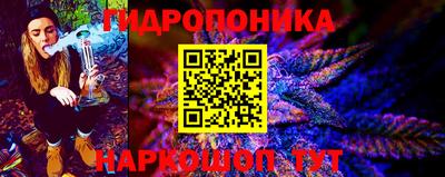jwh Брянск