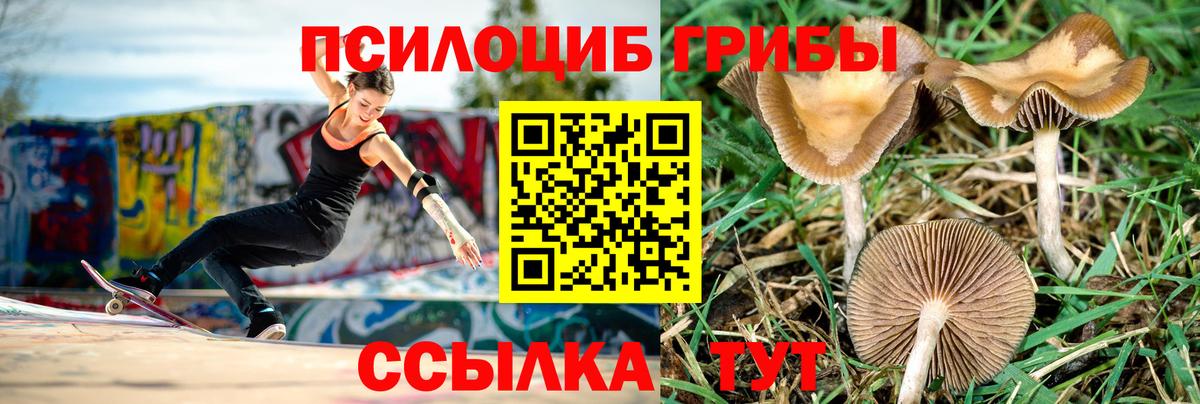 Тавда  Галлюциногенные грибы Psilocybe  Галлюциногенные грибы GOLDEN TEACHER  Вход с VPN 